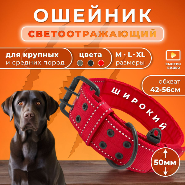 Ошейник для собак крупных пород/ Ошейник для больших собак Doggy&Dog ...