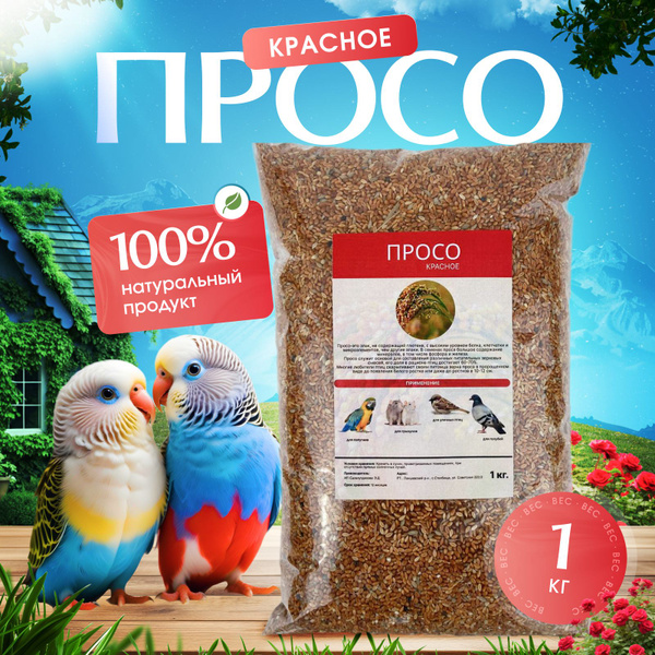 Просо красное 1кг для птиц и грызунов - купить с доставкой по выгодным ...