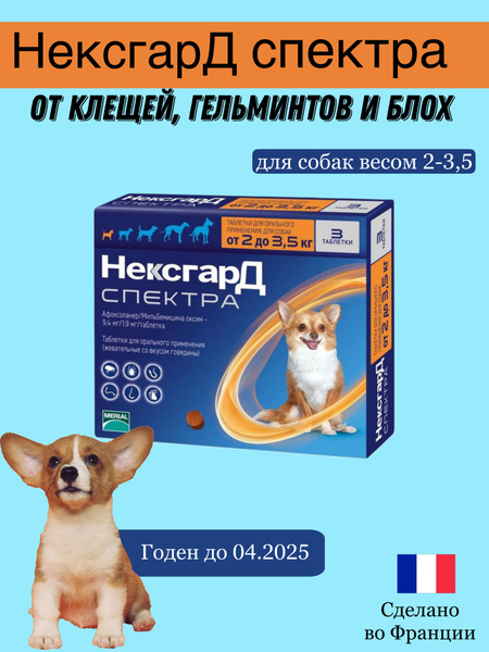 Нексгард Спектра XS жевательная таблетка от клещей , гельминтов и блох ...