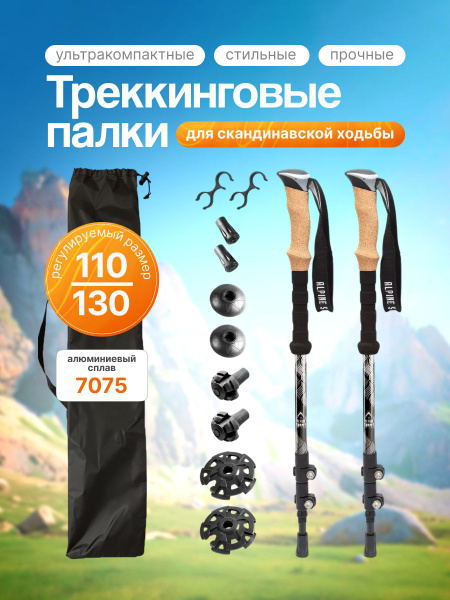 Палки для скандинавской ходьбы, треккинговые горнолыжные палки купить ...