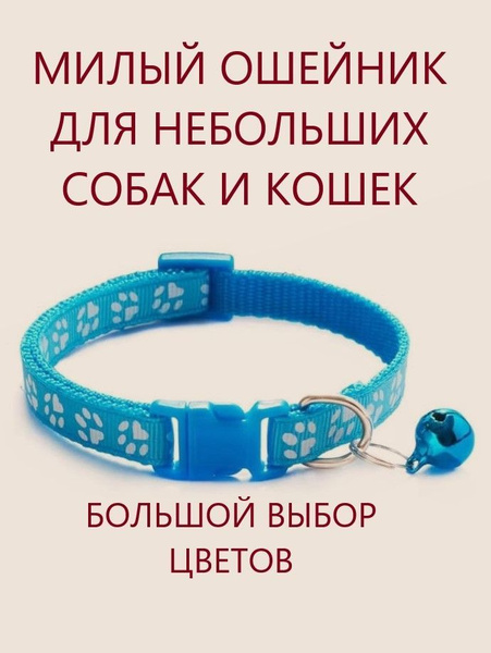 Ошейник для кошек и собак мелких пород с колокольчиком. Голубой. купить ...