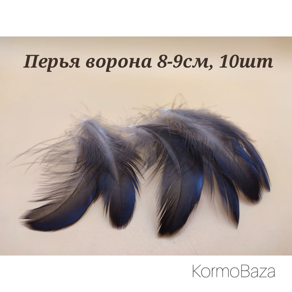 Перья ворона, 10шт. Натуральные перья купить на OZON по низкой цене ...