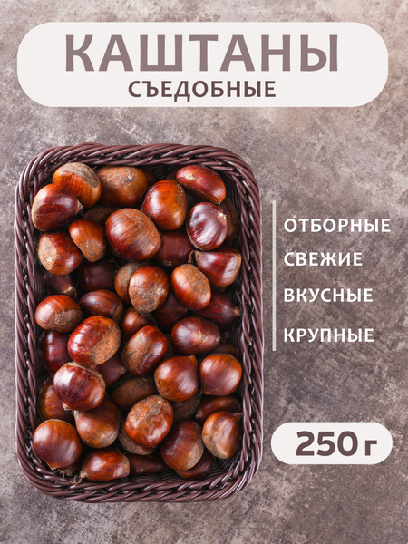Каштан съедобный, свежий 250 г купить на OZON по низкой цене (1292318355)