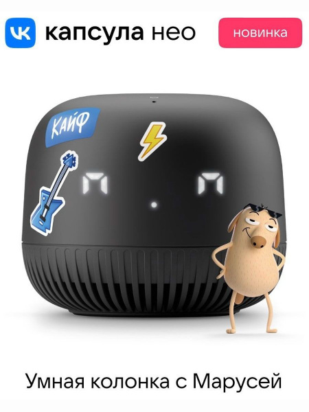 Умная колонка VK Капсула Нео, голосовая Маруся, Bluetooth 5.0, Wi-F, 2 ...