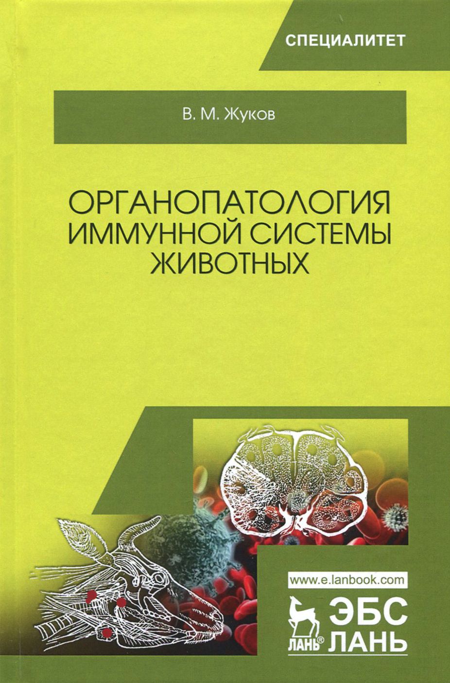 Органопатология иммунной системы животных. Учебное пособие | Жуков Владимир Михайлович