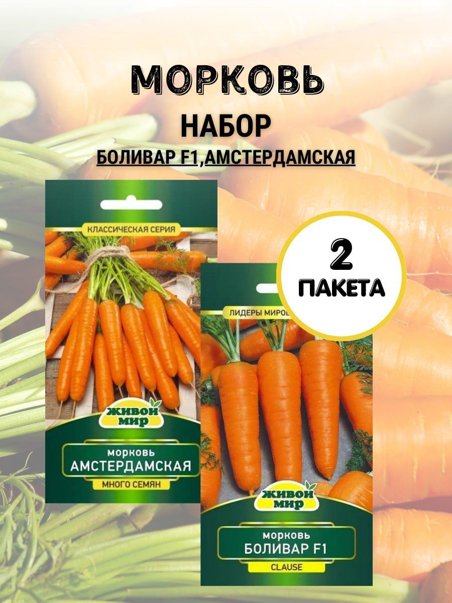 Купить Семена Моркови Боливар