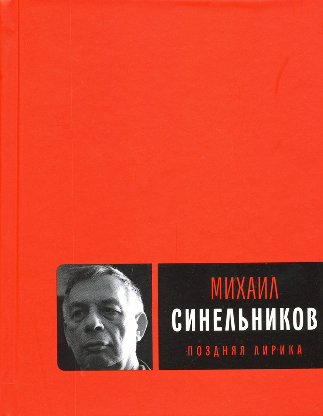 Поздняя лирика | Синельников Михаил Исаакович