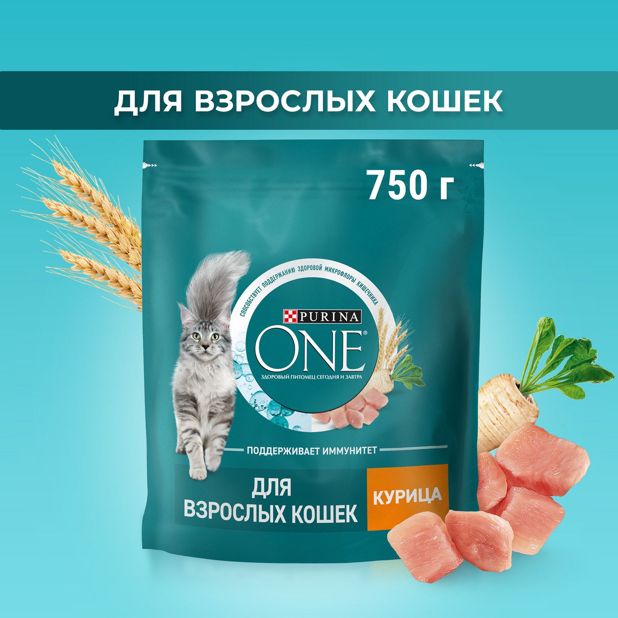 Сухой корм для кошек Purina ONE, с курицей и цельными злаками, 750 г -  купить с доставкой по выгодным ценам в интернет-магазине OZON (137590843)