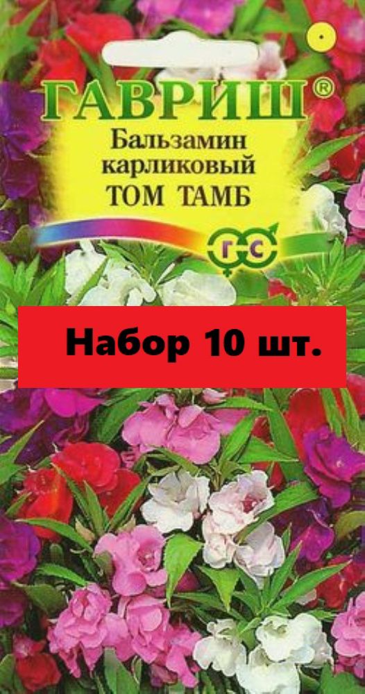 Бальзамин Том Тамб Фото На Клумбе