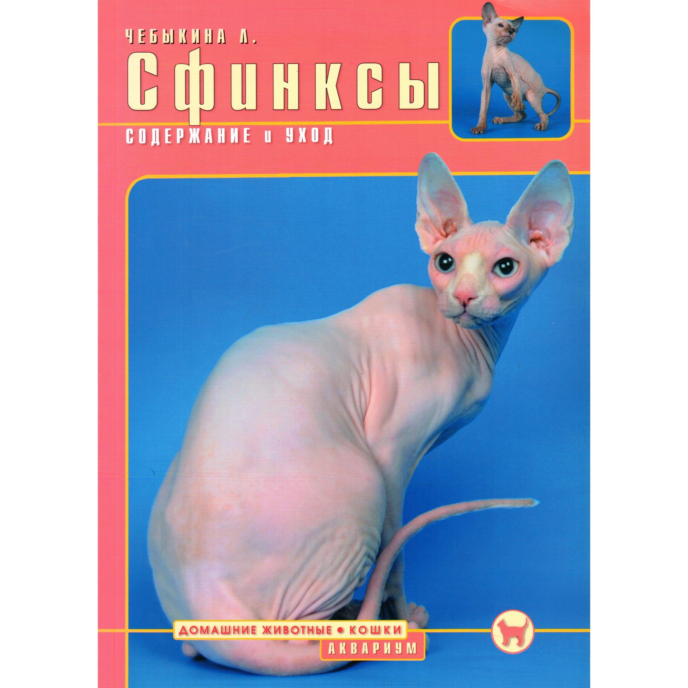 Сфинкс тургенев смысл. Сфинкс тургенев смысл. Сфинкс тургенев смысл. Сфинкс стихотворение. Стихотворение в прозе тургенева нищий.