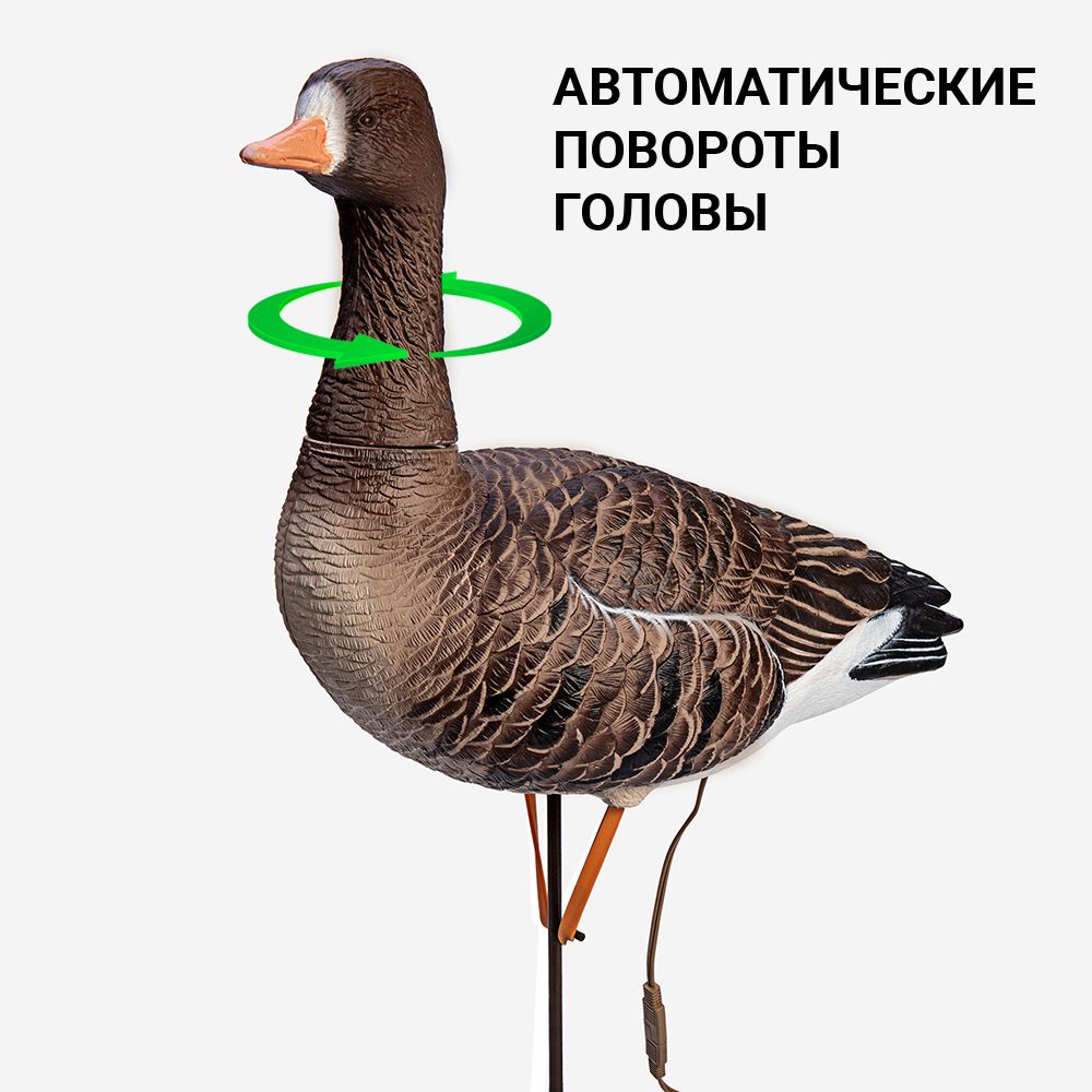 Белолобый гусь робот Duck Mania