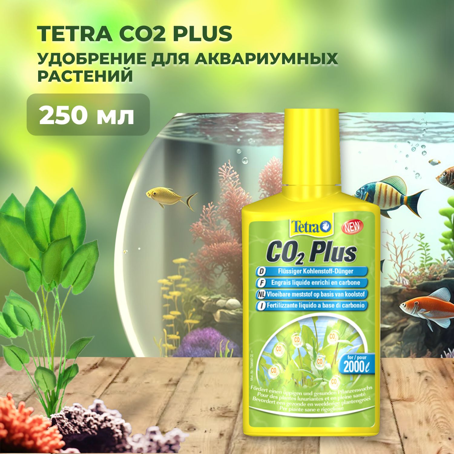 Tetra co2