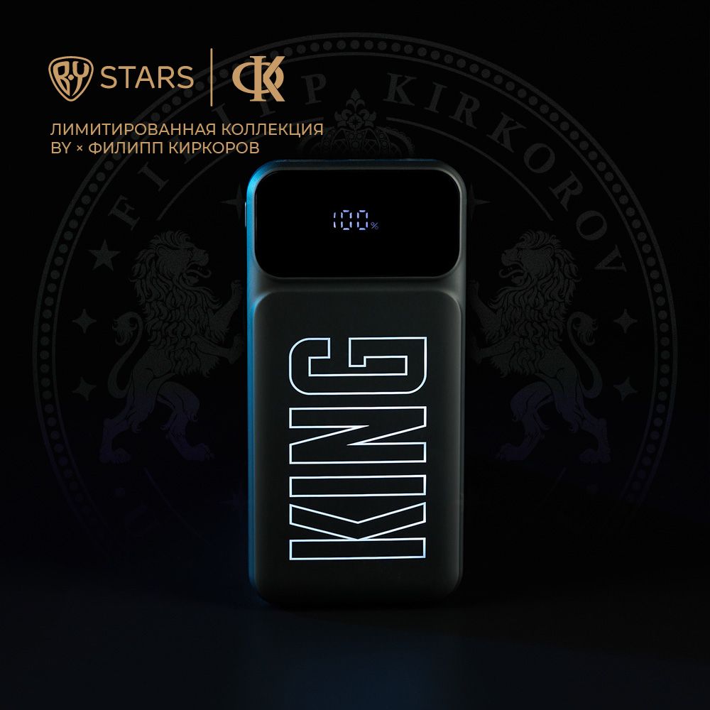 Внешний аккумулятор (Power Bank) Филипп Киркоров BY 03108300 - купить по  выгодным ценам в интернет-магазине OZON (1521949215)