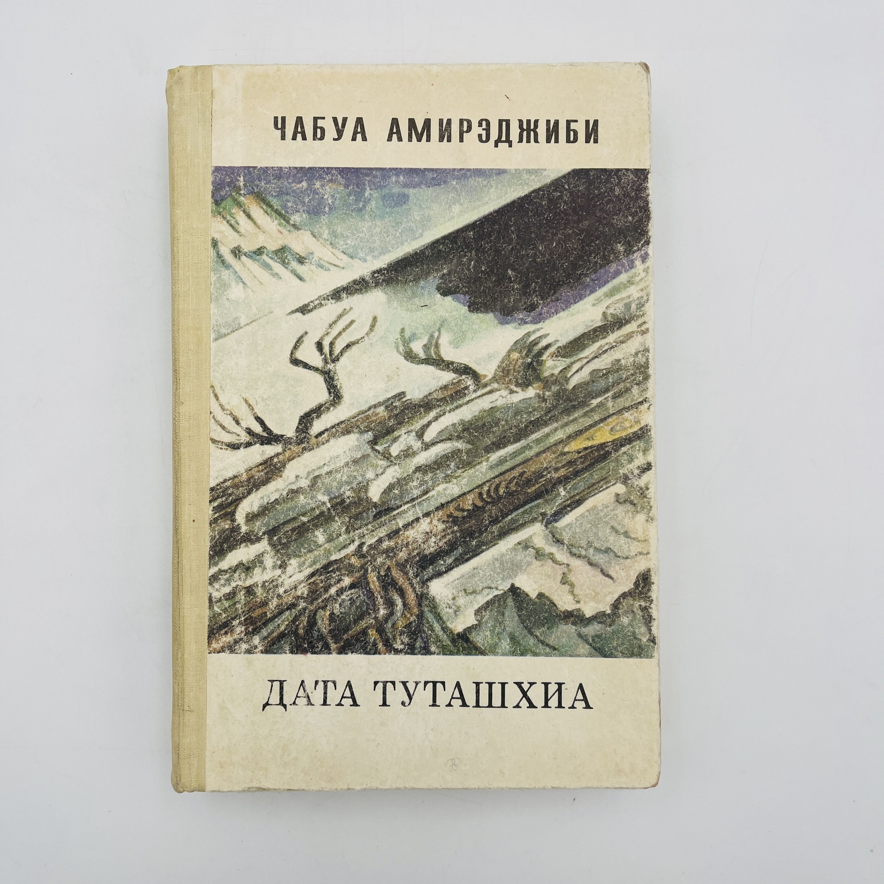 Дата туташхиа чабуа. Дата туташхиа чабуа