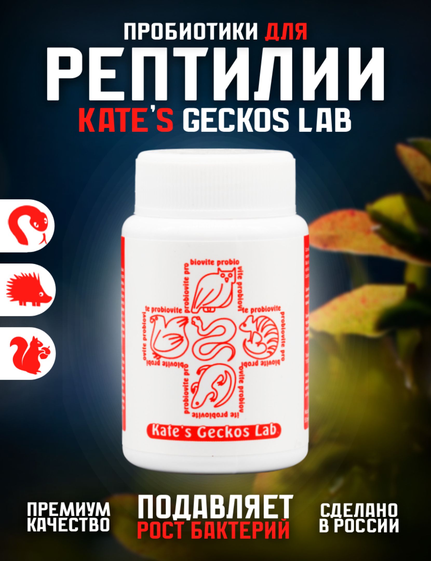 Комплекс Kate's Geckos Lab Probiovite пробиотиков для рептилий и птиц 50 грамм