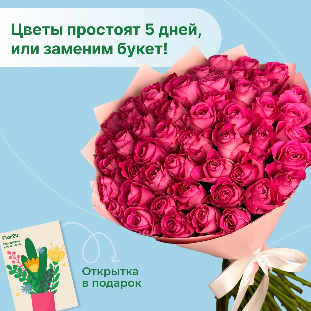 Цветы живые букет из 51 розовой розы 40 см в упаковке Flor2u