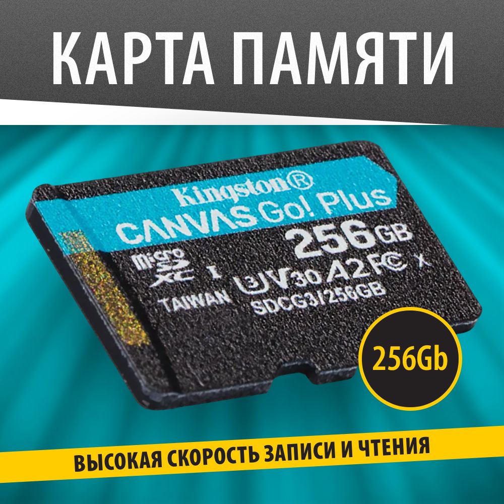 Kingston Карта памяти Canvas GO Plus 256 ГБ  (SDCG3/256GBSP)