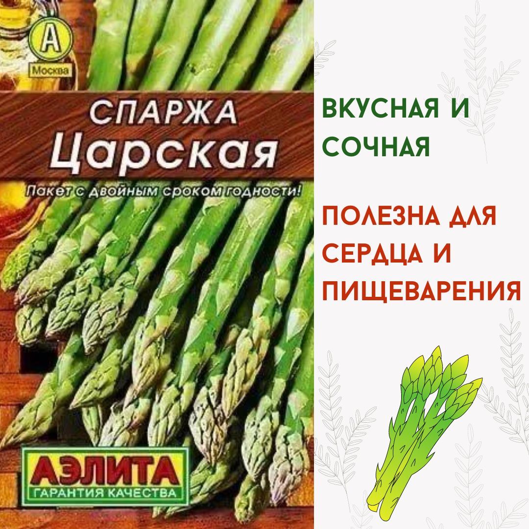 Спаржа Семена Купить