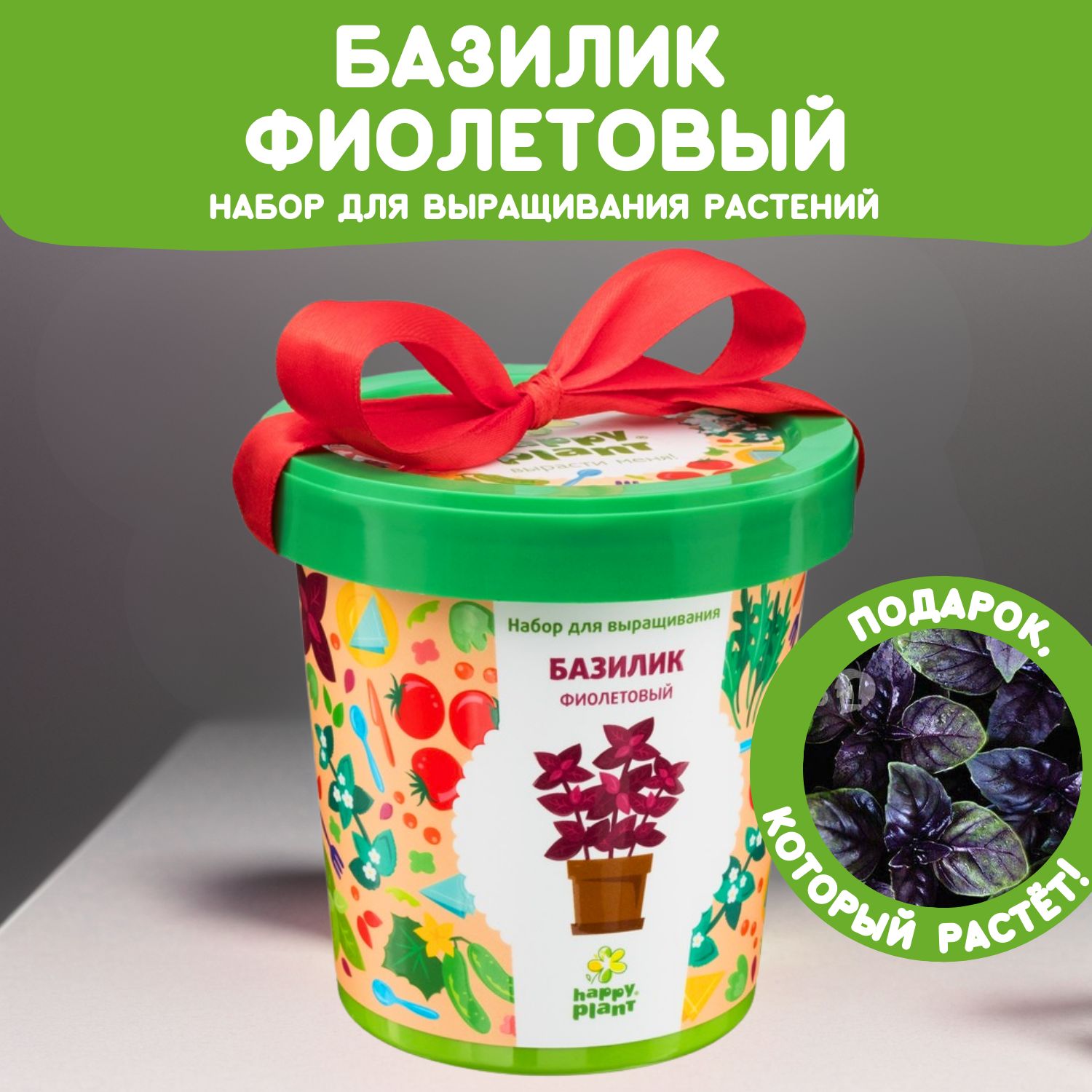 Набор для выращивания растений Happy Plant Базилик фиолетовый, семена комнатных растений в подарочном горшке