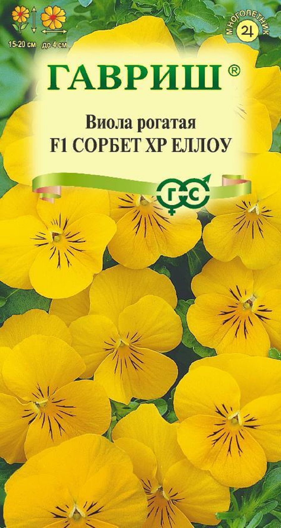 Семена Виолы Купить В Интернет Магазине