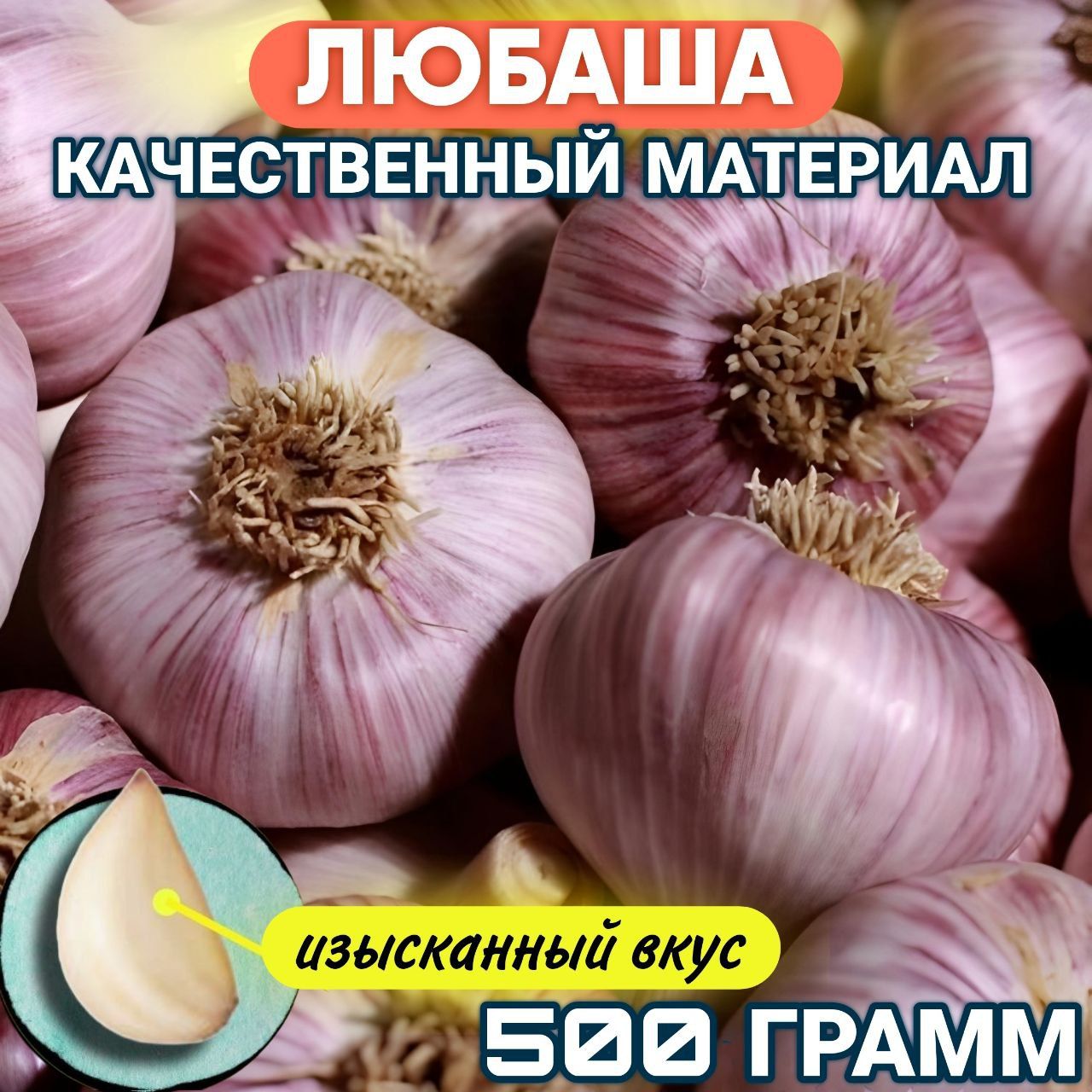 Чеснок"Любаша"(500г.)съедобный,подходитдлядомашнегоогорода1головкаот20г.,качественныйчеснокнапосадку+инструкцияповыращиванию/Livata