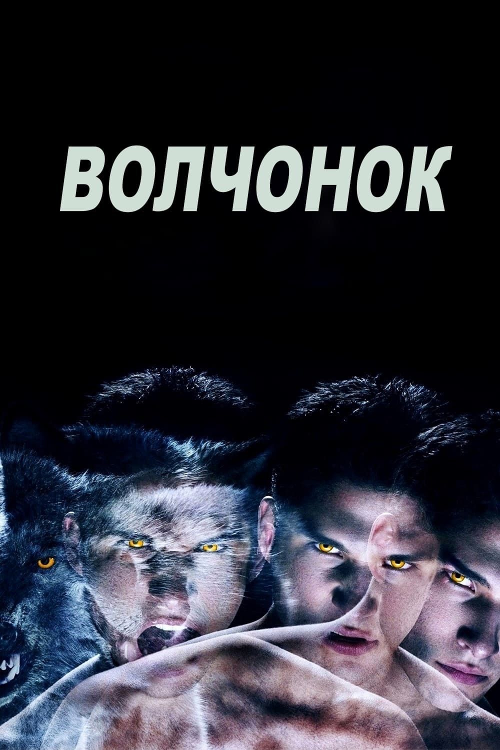 Волчонок, 3 сезон (2011-2017) (12 DVD) (DVD-R)