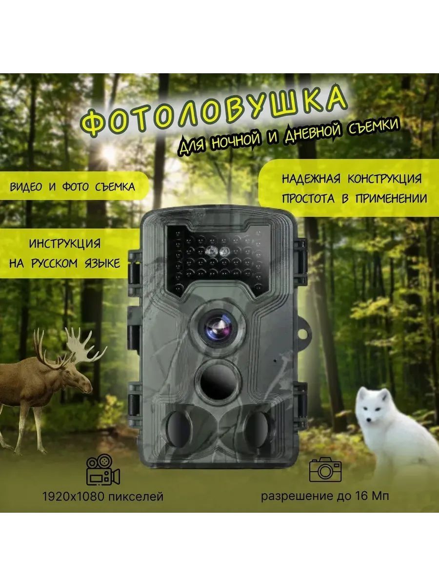 Фотоловушка