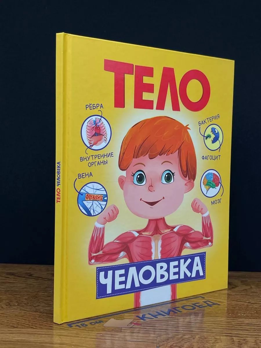 Тело человека