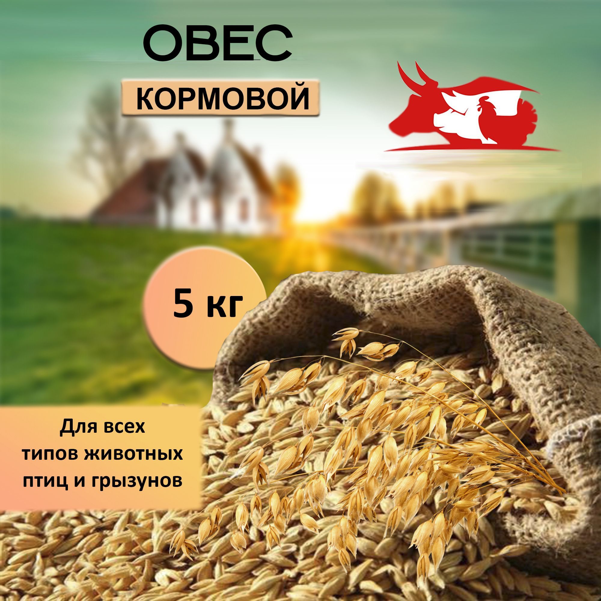 Корм для птиц зерно овес кормовой 5 кг