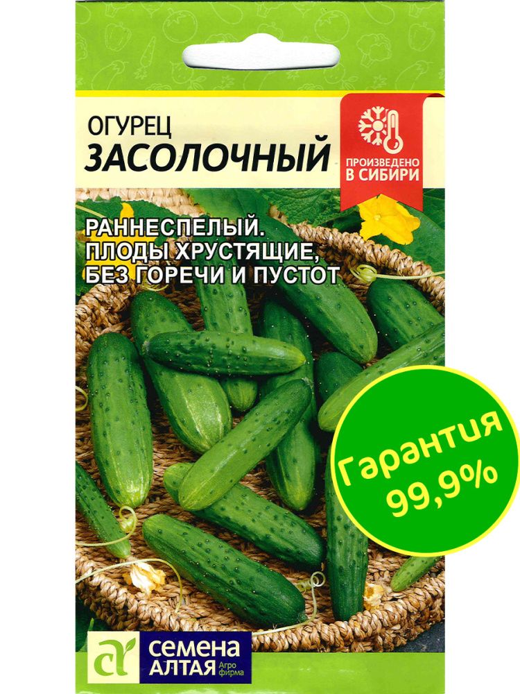 Огурец Засолочный(图3)