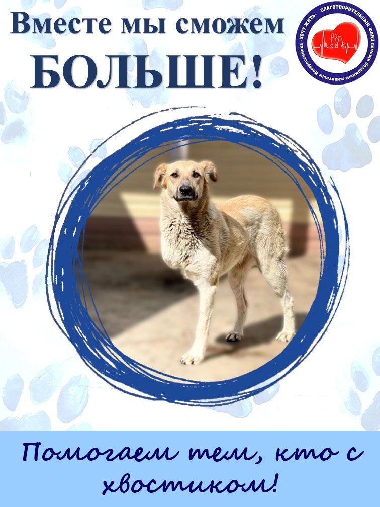 Благотворительныйсертификатфонда"Хочужить"