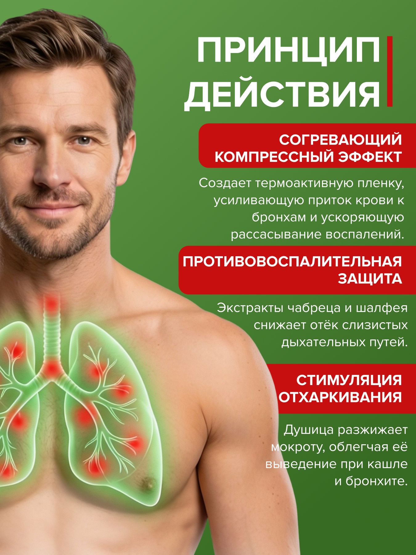 Растирка Кавказская на основе барсучьего жира