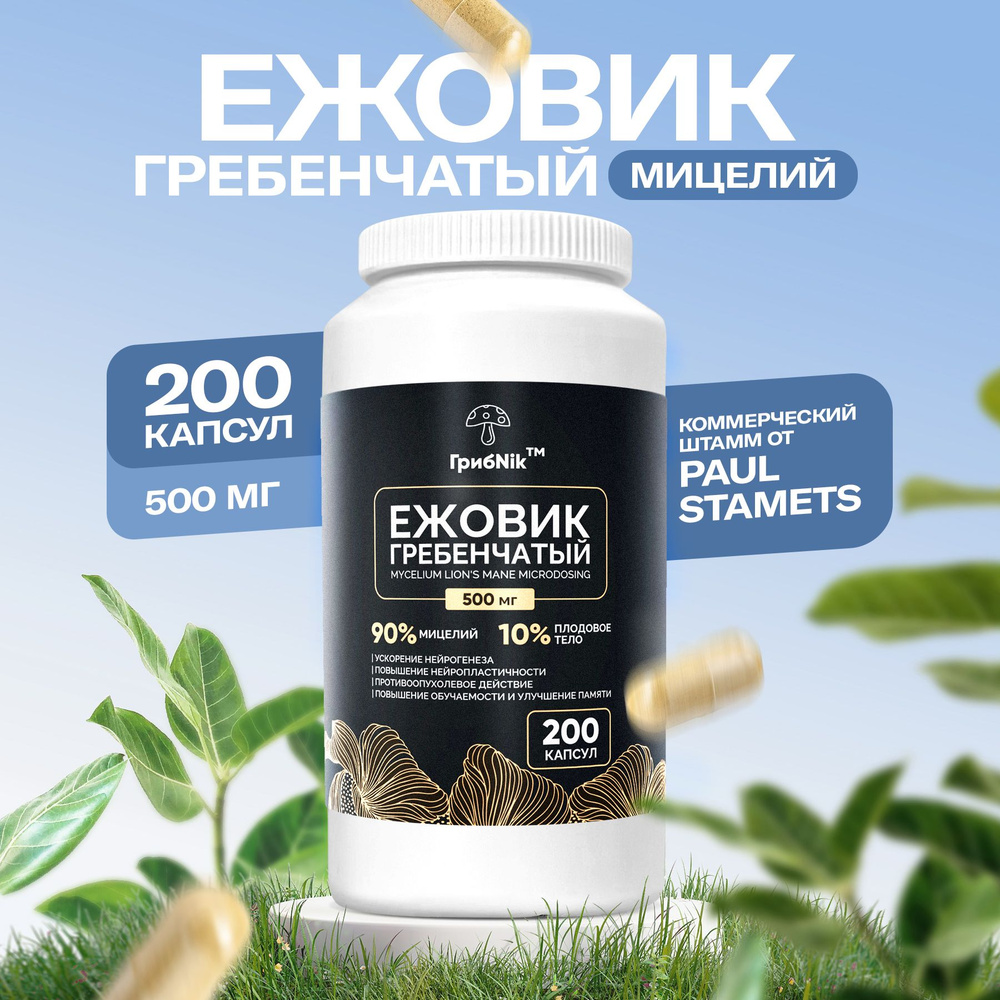 Ежовик гребенчатый капсулы ежевик 200 капсул 500 мг, ГрибNik - купить с ...