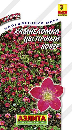 Семена Камнеломка Цветочный ковер (0,02 г) - Агрофирма Аэлита  #1