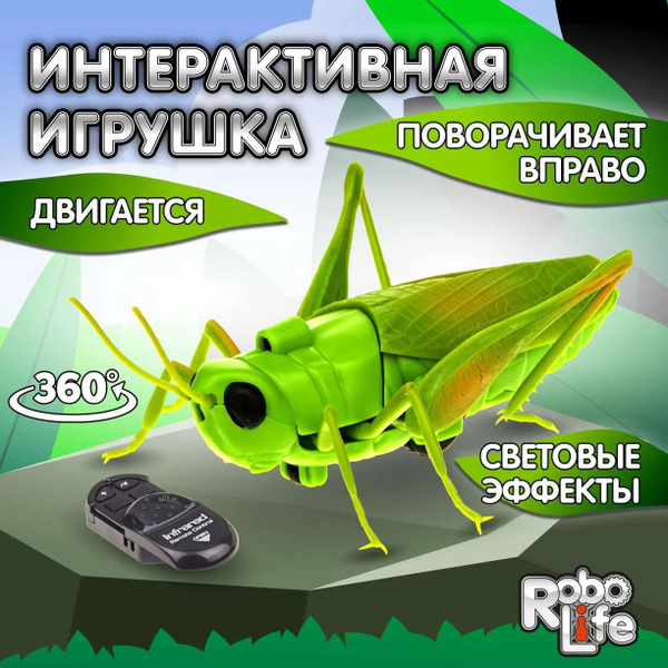 RoboLife Кузнечик (модель для сборки) - купить с доставкой по выгодным ...