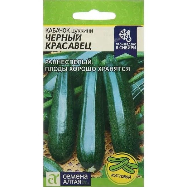 Кабачки Семена Алтая Кабачок цуккини Черный красавец - купить по ...
