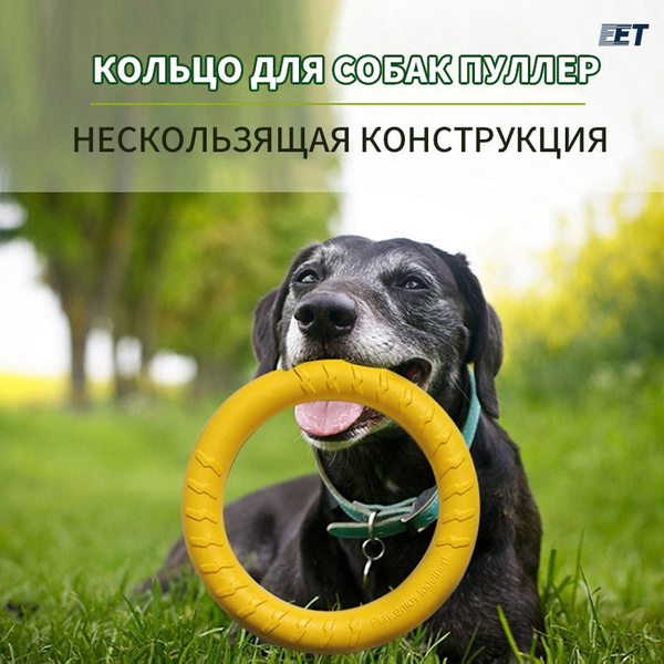 Игрушки для собак средних, крупных пород, для грызения, игр, мяч ...