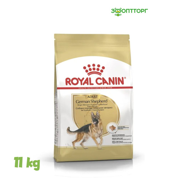 Australian shepherd royal canin best sale