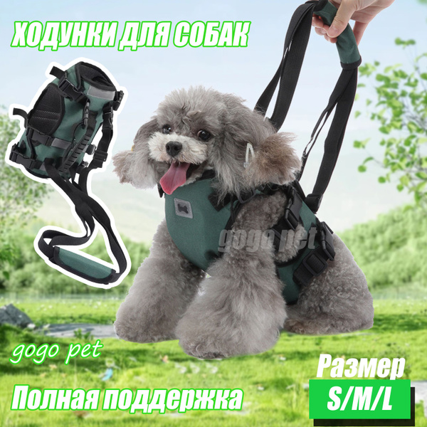 Полная поддержка для собак мелких пород (2-4 кг). Ходунки для собак ...