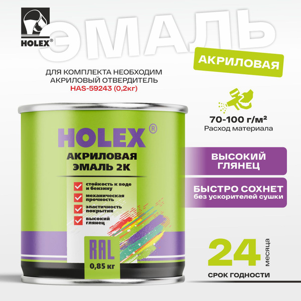 Автоэмаль акриловая 2К 202 белая 0,85кг HOLEX купить на OZON по низкой ...