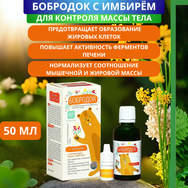 Бобродок с имбирём для контроля массы тела, 50 мл. Сироп без сахара для ...