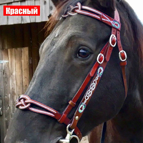 Кожаная уздечка - купить с доставкой по выгодным ценам в интернет ...