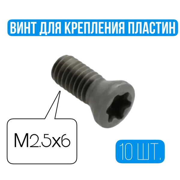 Винт M2,5 x , головка: Потайная, 10 шт - купить по выгодной цене в ...