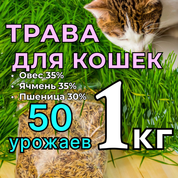 Различные травы трава для кошек семенарус_пшеница, овес, ячмень ...