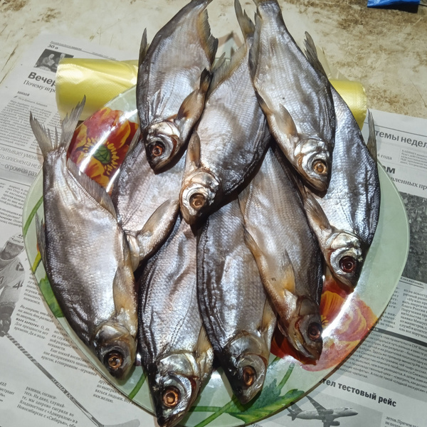 Сопа вяленая - купить с доставкой по выгодным ценам в интернет-магазине ...