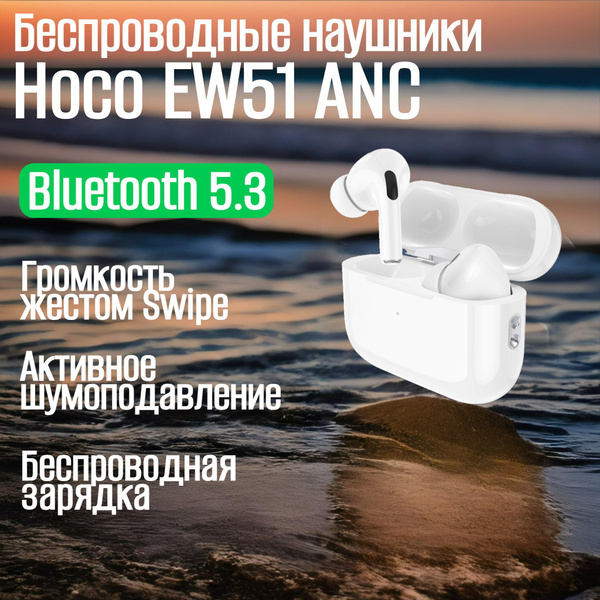 Наушники Внутриканальные hoco EW51 - купить по доступным ценам в ...