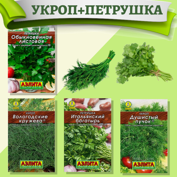 Укроп, Петрушка Аэлита укр - купить по выгодным ценам в интернет ...
