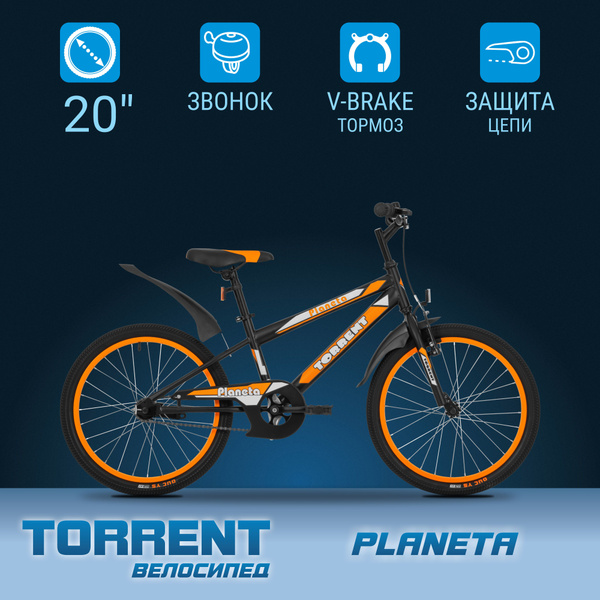 Детский велосипед TORRENT Planeta (дорожный, 1 скорость, рама сталь ...