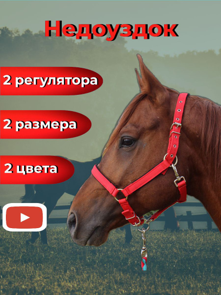Недоуздок для лошадей и пони, размер L - купить с доставкой по выгодным ...