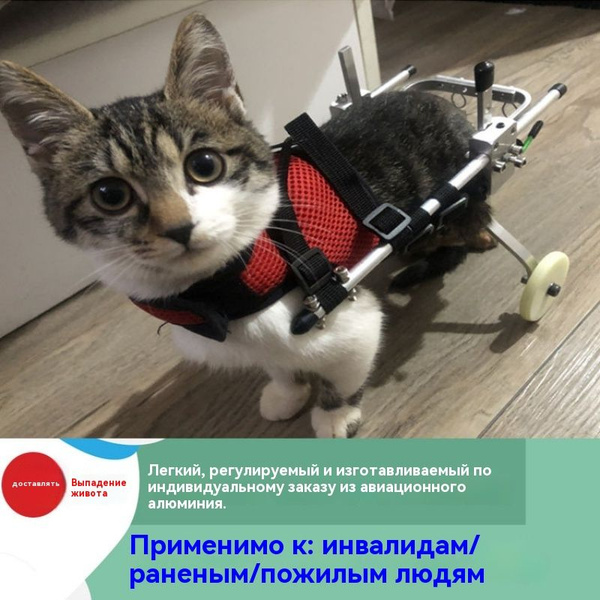 Кошачья инвалидная коляска.Двухколесная реабилитационная коляска для ...